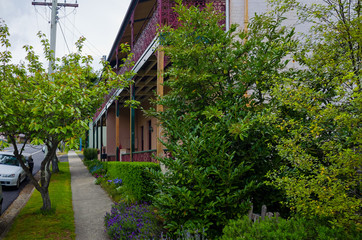Fototapeta na wymiar Village Street with Houses in Blue Mountains Australia
