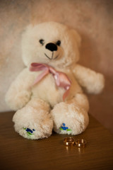 teddy bear and wedding rings