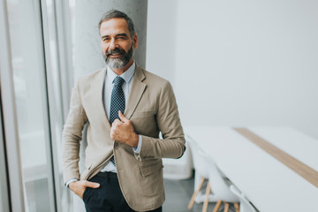 Portrait of senior businessman
