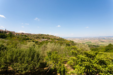 Fototapeta na wymiar Montalcino view, tuscany, Italy