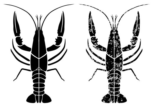 crayfish black grunge vector eps 10