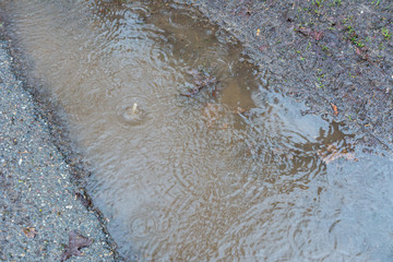 Regentropfen bei Starkregen - Überflutung der Strasse