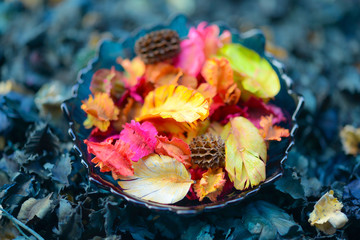 Potpourri is a mixture of dried, naturally fragrant plant material, used to provide a gentle natural scent 
