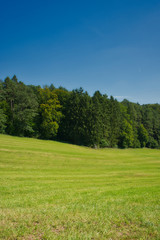 Wald und Wiese blauer Himmel