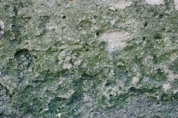 Textured background. Old concrete wall