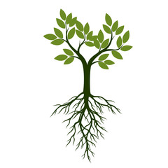 Green Tree with Leaves and Roots. Vector Illustration.
