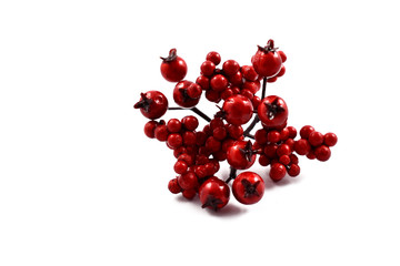 Red Christmas Berries stock images. Red fruit decoration. Red Berry Branche on a white background