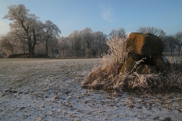 ancient megalithic tomb in rural winter landscape with hoar frost, Birkenmoor, Schleswig-Holstein