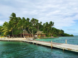 Beautiful nature on the island of Fiji 