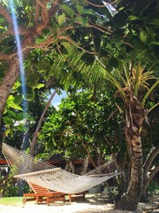 Beautiful nature on the island of Fiji 