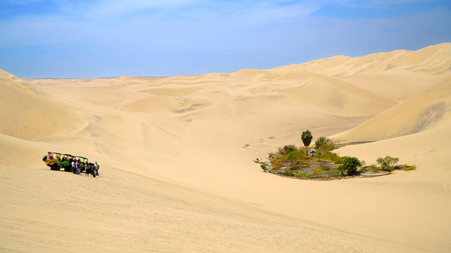 Oasis In Desert