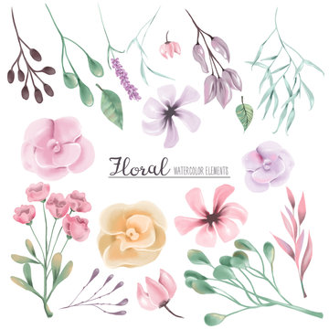 Beautiful watercolor flowers, stems and leaves. Watercolor floral clipart, design elements, collection, set isolated on white