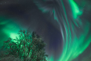 Dramatic green Aurora Borealis in Alaska night sky