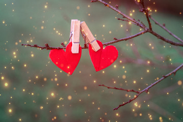 Red paper hearts hanging on the tree branch. Saint Valentine's day concept