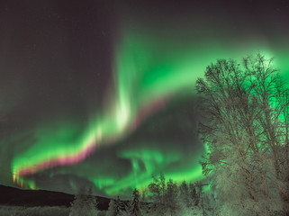 Dramatic green Aurora Borealis in Alaska night sky