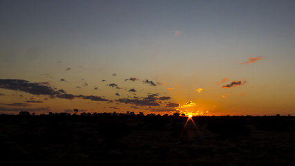 Fototapeta premium Sunset in the Australian Outback. Nullarbor Plain AKA Nullarbor Desert, Western Australia, Australia