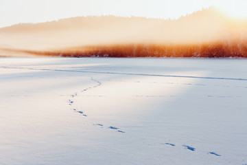 Fototapeta na wymiar bright winter landscape at sunset