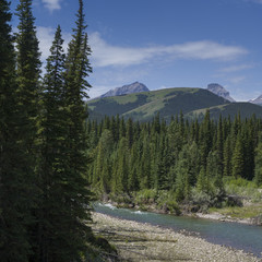 Stream flowing through forest, Kananaskis Country, Southern Alberta, Alberta, Canada