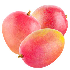 Mango fruit isolated on white background