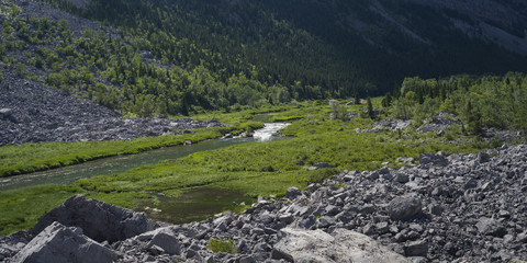 Fototapeta na wymiar River flowing in forest, Frank Slide, Kananaskis Country, Southern Alberta, Alberta, Canada