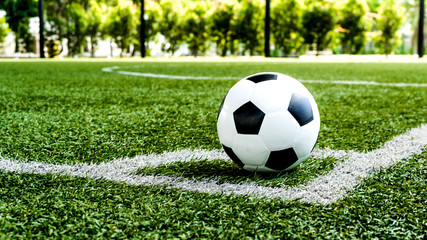 soccer Football on Corner kick line of ball and a soccer field , football field , background texture