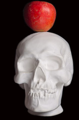 part of the white plaster human skull and a red apple on a black background
