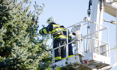 Firefighters in action after a windy storm