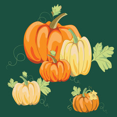 collection of pumpkins on green background, vector illustration