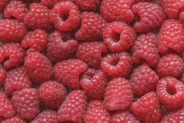 A beautiful fresh ripe red berries of raspberries close-up background texture.