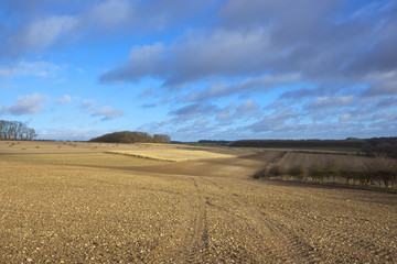 plow soil and tyre tracks