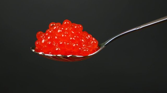 A spoon of red caviar on the black background. Red caviar on a spoon sharply appears in the frame.