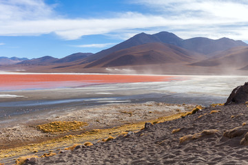Laguna Colorada Flamingoes, Uyuni, Bolivia