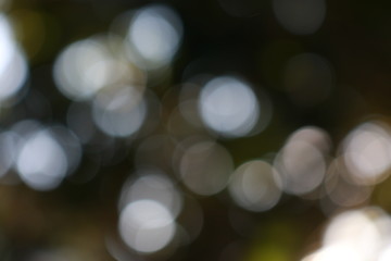 bokeh Backgrounds