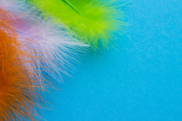 Poster for the carnival. Bright feathers on a blue background.