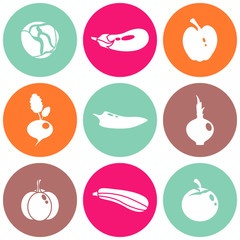 Vector illustration of different food icons