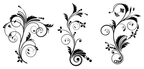 Set of vector decoration curve elements