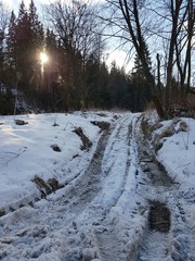 Zasypana śniegiem droga