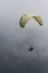 Paraglider