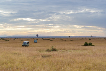 Fototapeta na wymiar Safari Vehicles In Open Kenya Field