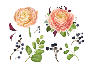 Vector floral big element set: pink peach ranunculus flower bouquet blue berry branch, forest fern, tree fall leaves art foliage objects in watercolor style collection. Decorative elegant illustration