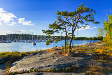 Naklejka na ściany i meble Beautiful coastline of Baltic sea, Sweden