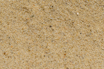 Background of the yellow sand