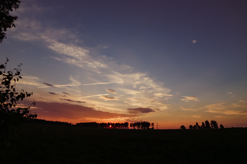 beautiful sunset behind the trees