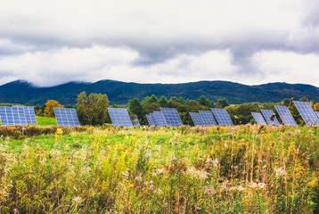 Field of Solar Panels in fall.