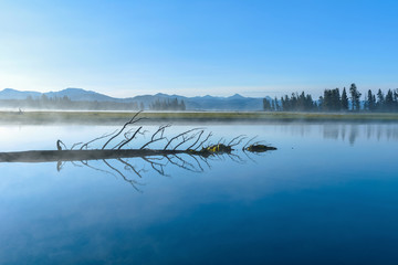 Misty Blue Lake - Morning sun shines on a remote misty mountain lake. Yellowstone National Park, Wyoming, USA.