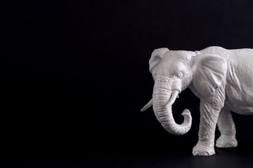 white elephant on black background great for white elephant sale 