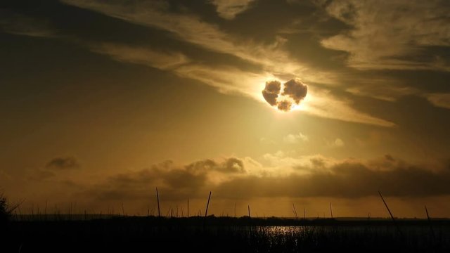 4k a rich, golden sky and silhouetted reeds in foreground and a classic rippling reflection.
An animated cloud appears in front of the sun in the shape of a heart with a wonderful golden glow.