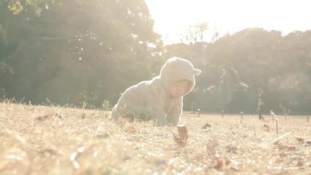 ハイハイ　1才　赤ちゃん　公園　家　