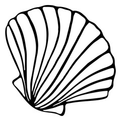 Monochrome black and white sea shell seashell silhouette ink line art sketch isolated vector
