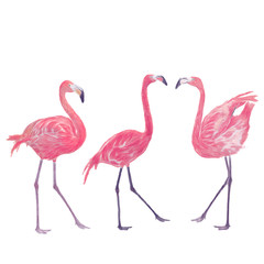 Fototapeta premium Watercolor flamingos